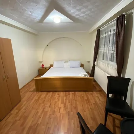 Casa Petre Πανσιόν Σινάια